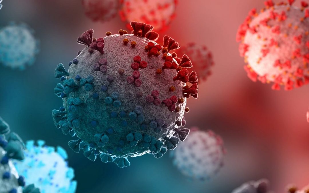 Safety of Covid Vaccines